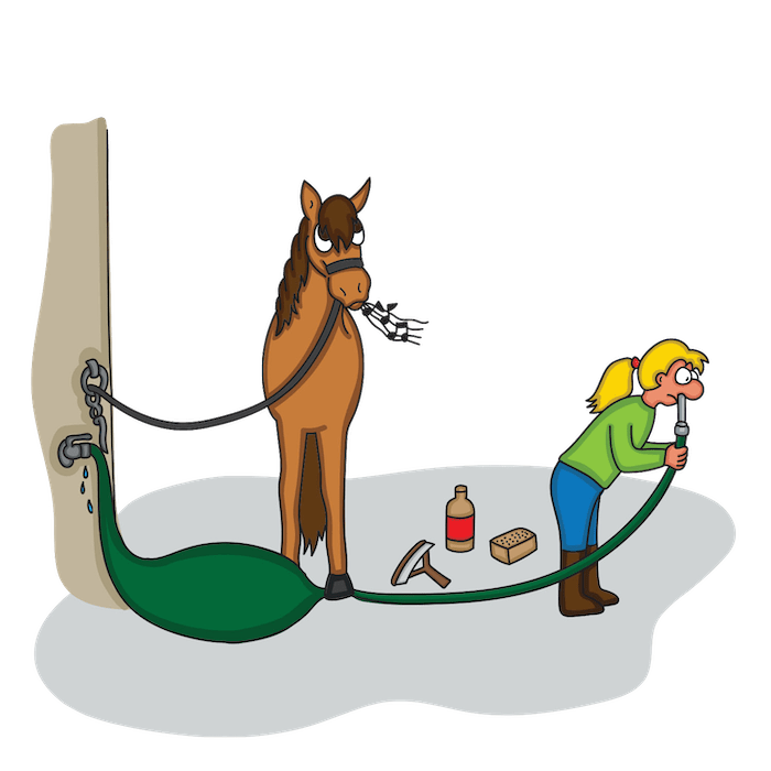 Pferd verursacht Schaden auf dem Hof