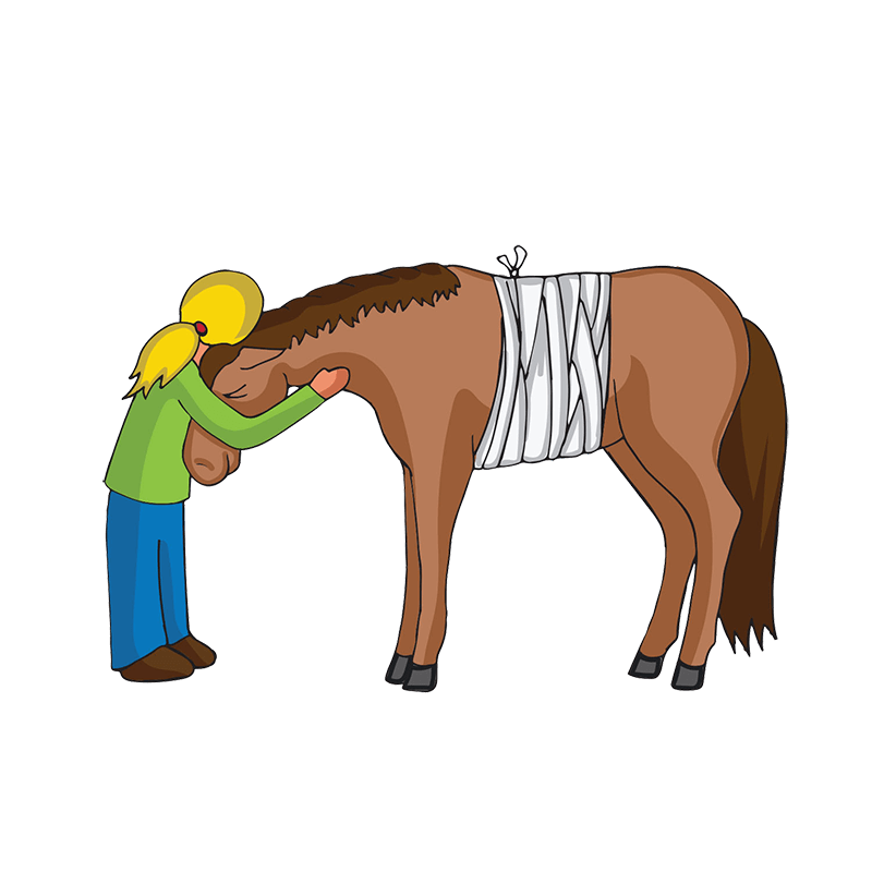 Ein krankes Pferd wird von seinem Besitzer umarmt
